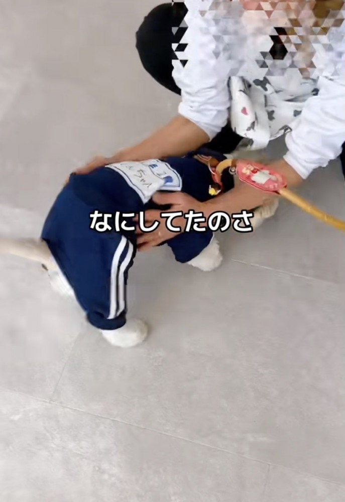 「会いたかったよぉぉ」