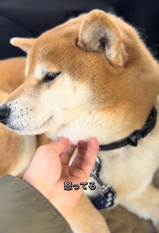 いじけているようです