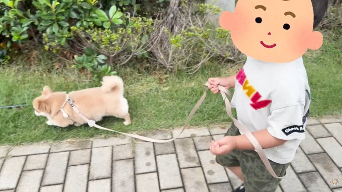 仲良くお散歩する姿にほっこり♡