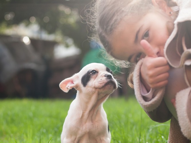 女の子と犬