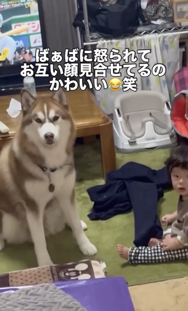 おばあちゃん「仲良くよ!」