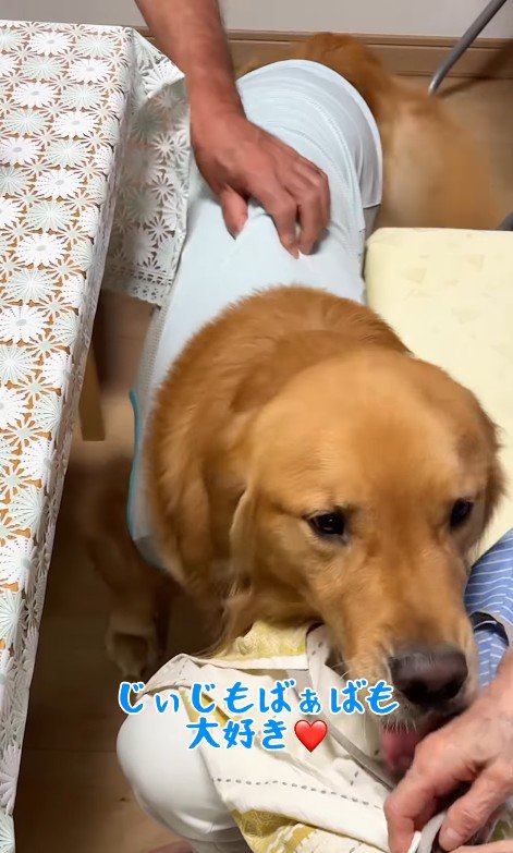 愛に溢れた光景にほっこり♡