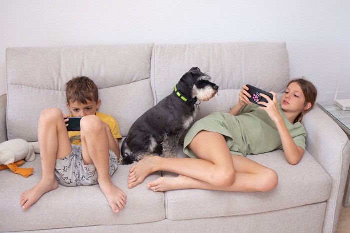 ゲームする子供たちと犬