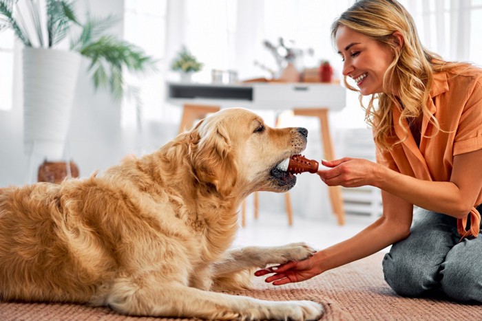 トレーニングする女性と犬