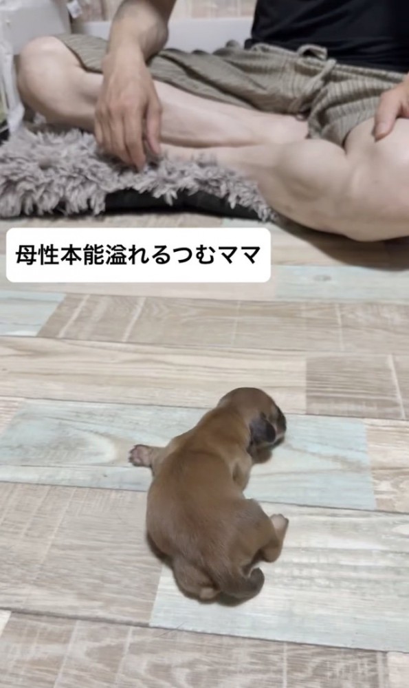 「ママー！！」