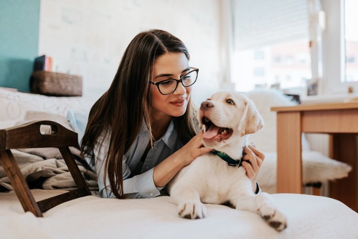 メガネを書けた女性と白い犬