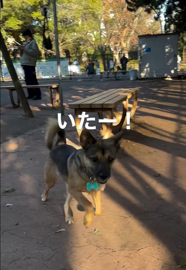 走ってくるカッパちゃん