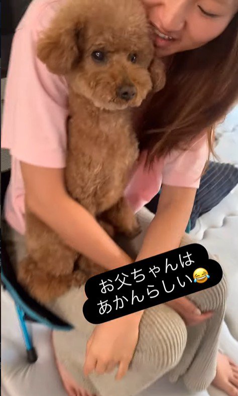 ドルくんの家族への態度の差5