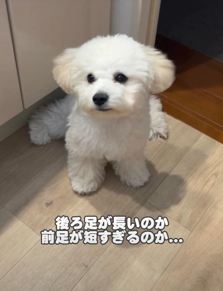 「問題ありません」