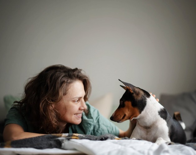 ベッドで見つめ合う女性と犬