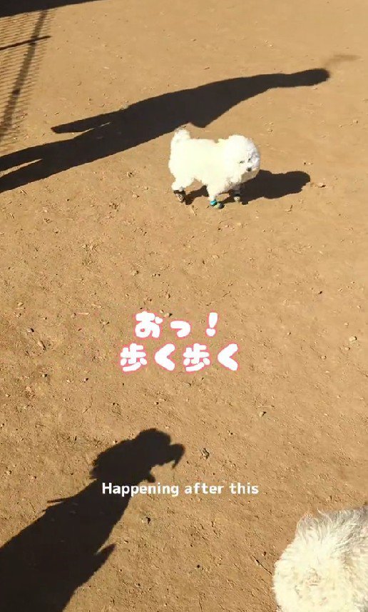 勇気を出してみたら…