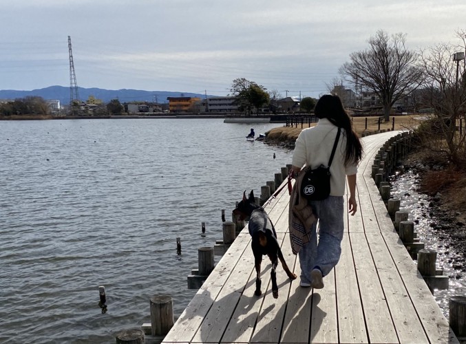 愛犬と歩く道