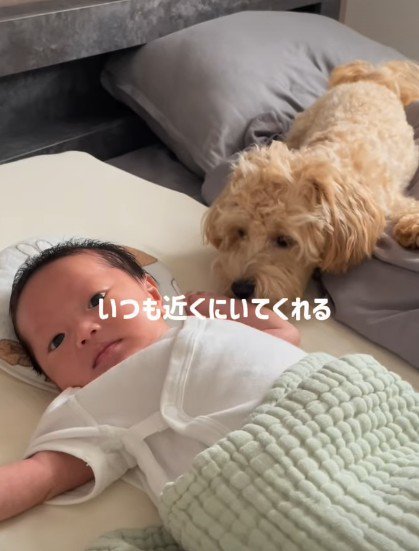 甲斐甲斐しくお世話