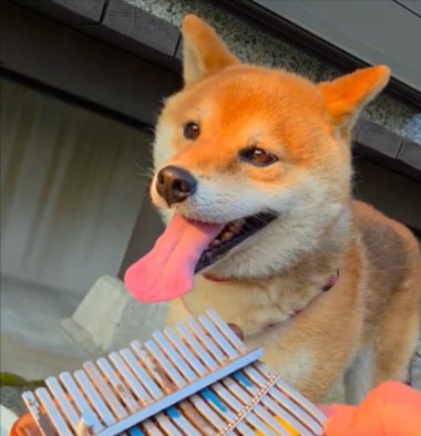 誇らしげ