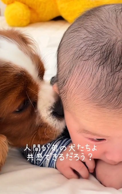 寄り添うふたり