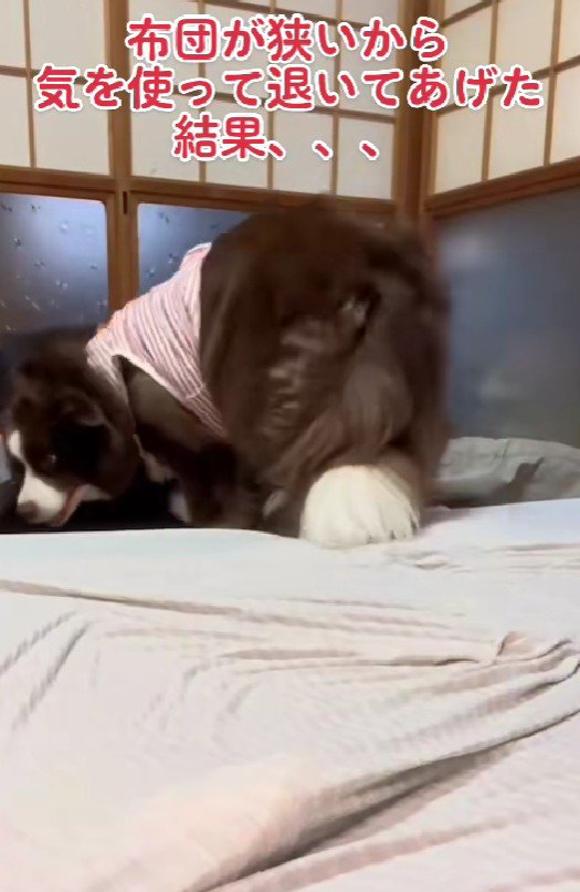 チョコチョコ移動して…