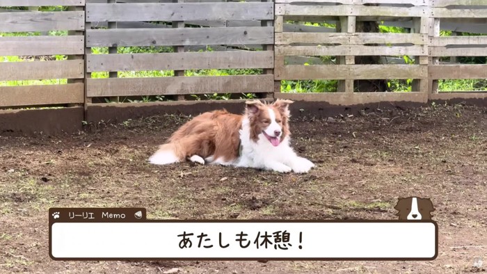 ちょっぴり一休み♪