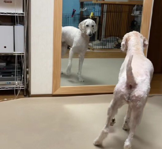 「え…誰これ…？」