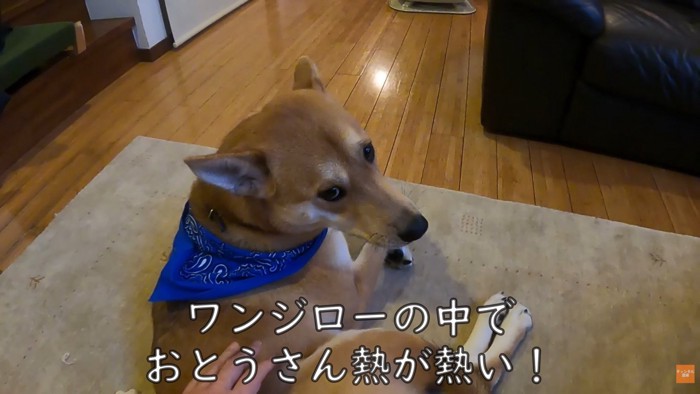 お父さんのそばでまったり♪