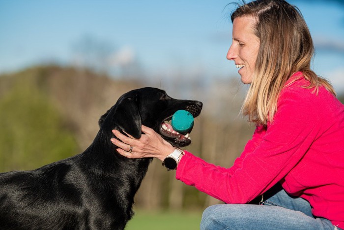 おもちゃを咥える犬と女性