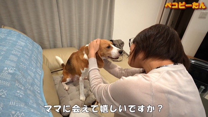 たっぷりナデナデ…