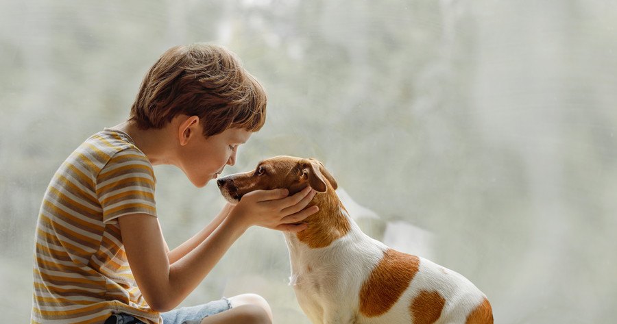 男の子と犬