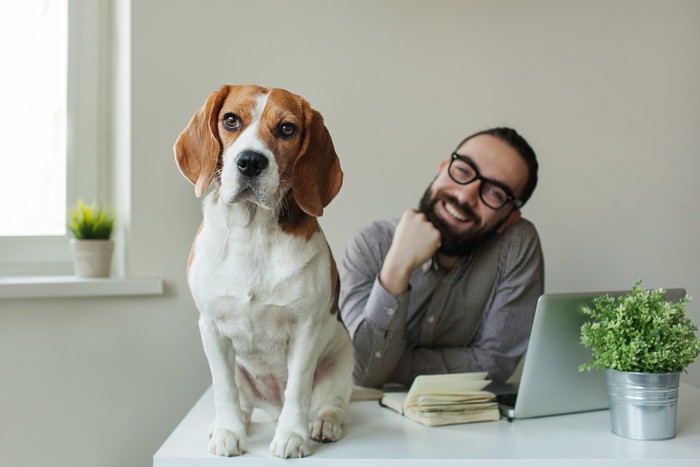 男性と犬