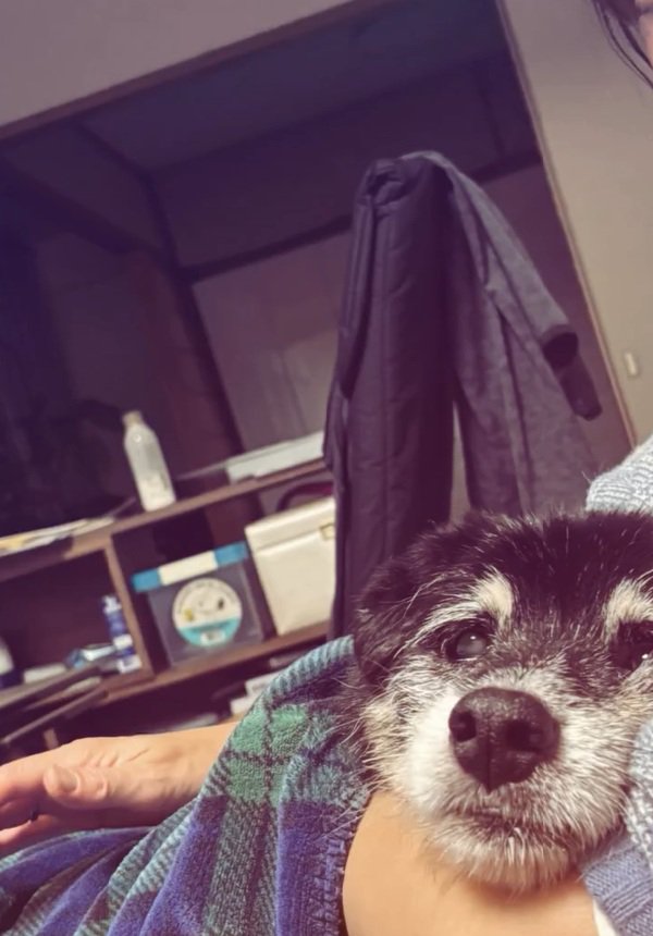 抱っこされるツナ君