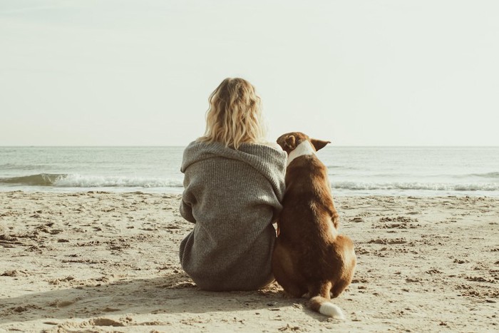 浜辺に寄り添って座る犬と人の後ろ姿