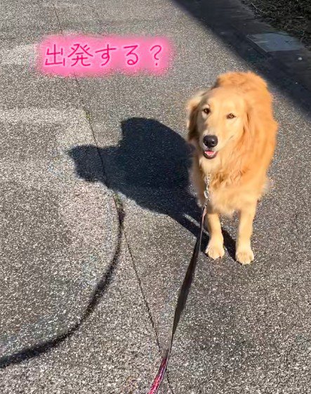 「出発する？」