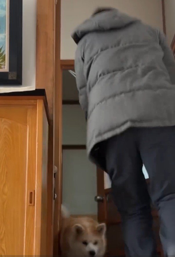 お出迎えするおはるちゃん