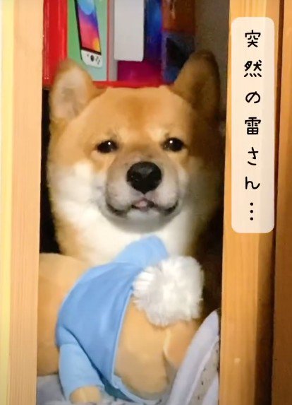 不安そうな表情が可愛い…