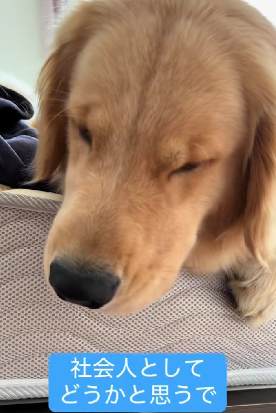 まるでお母さんみたい♡