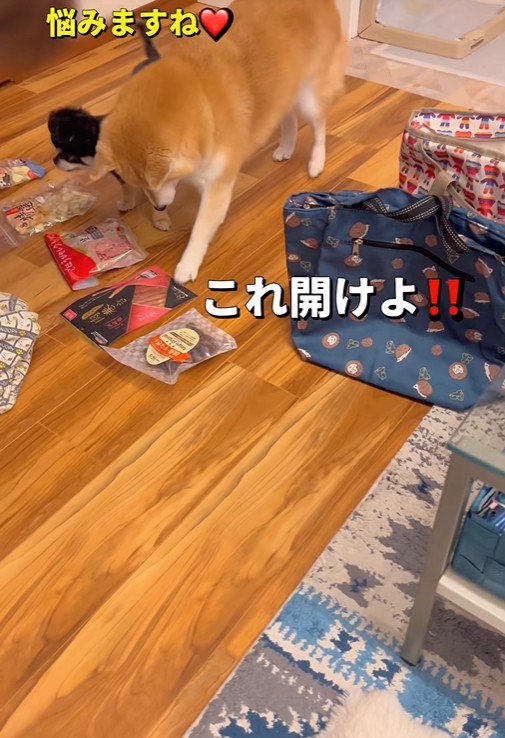 「どれから食べよう?」「これ!」