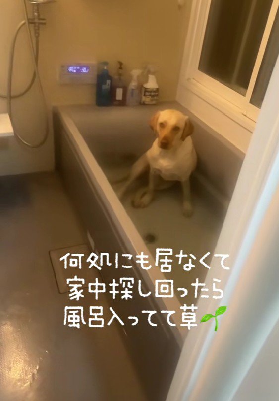 お風呂の中にいた！！