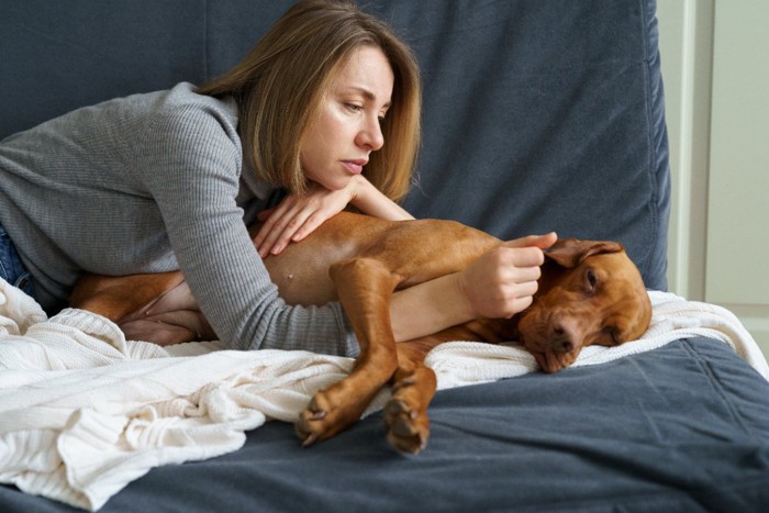 体調の悪そうな犬と女性