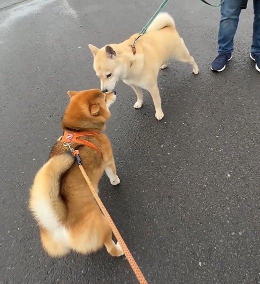 「元気だった?」