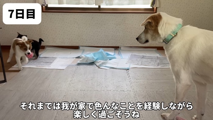幸せが訪れますように！