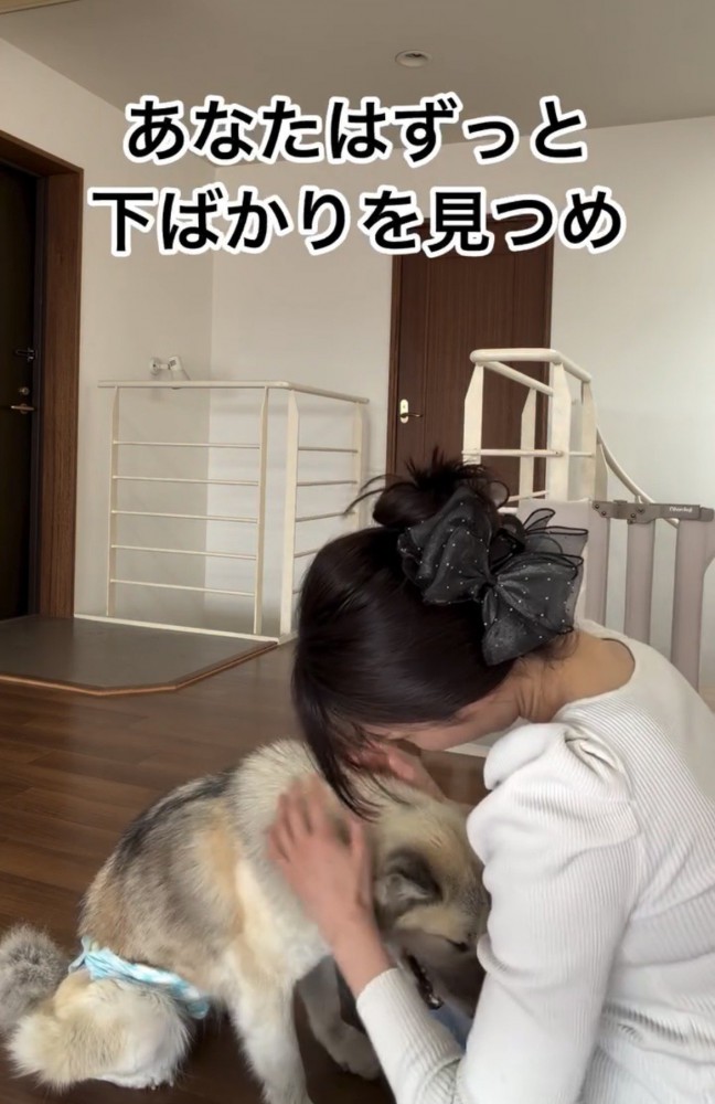 人に撫でられながらうつむく犬