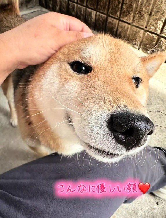 嬉しいお出迎えも…！