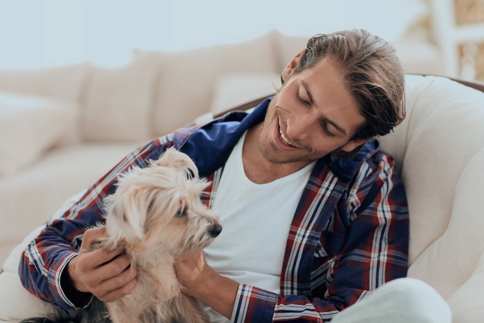 ソファーで男性に撫でられる犬