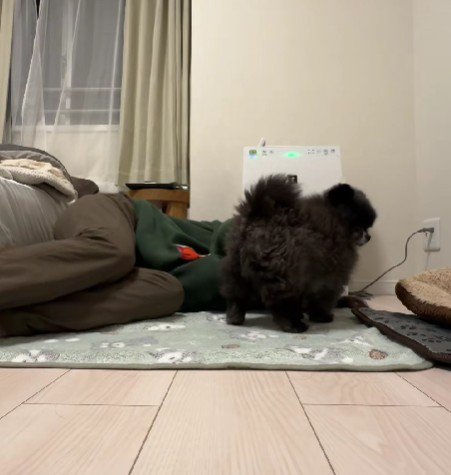 いつでもそばにくっついている