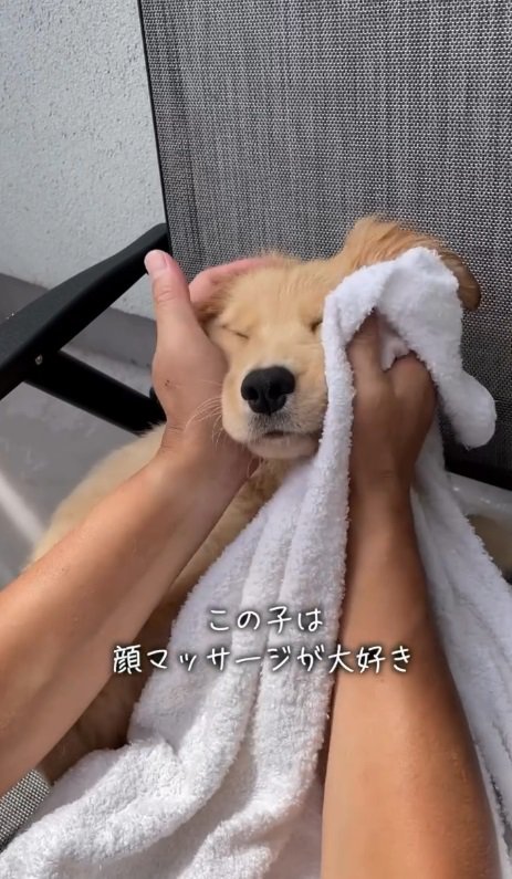 お顔プニプニいい気持ち～