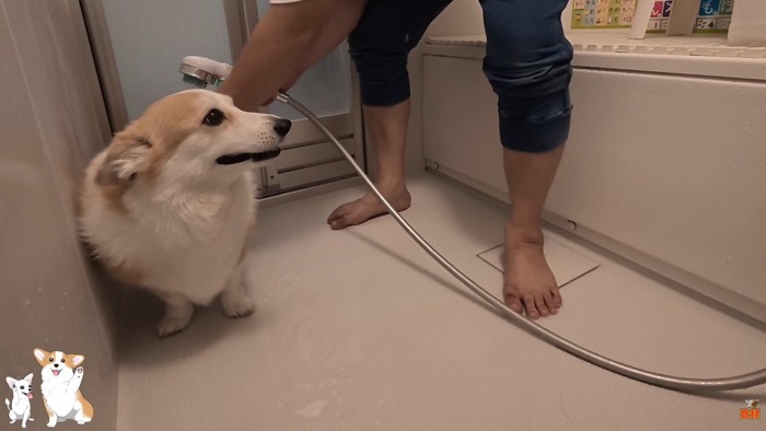体を洗い始めると…