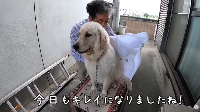 ご褒美ももらえたよ！！