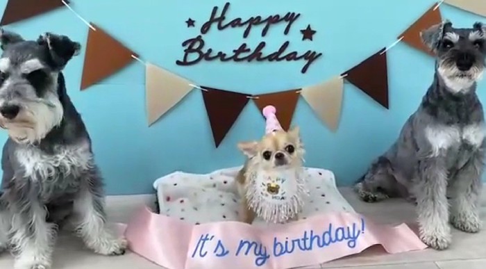 誕生日を祝ってもらったよ