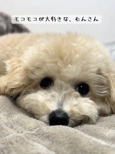 成長がたのしみ%成長がとってもたのしみ
