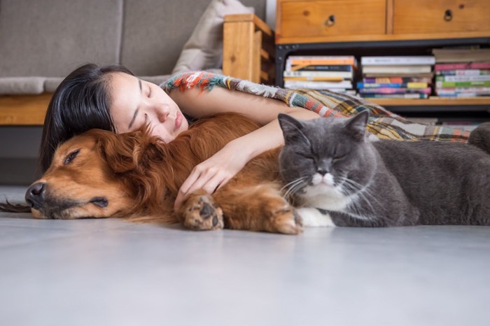 寝ている女性と犬と猫