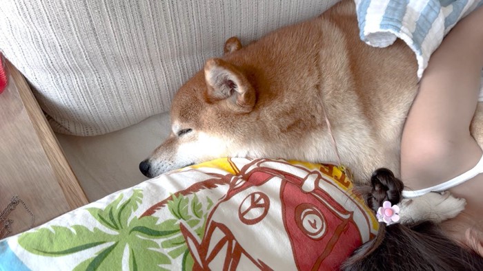 幸せそうな寝顔♪