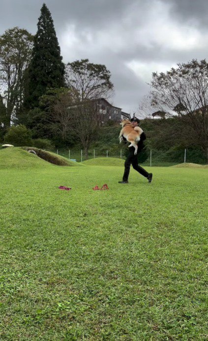 パパはどこへ…?